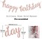 Rose Gold and Pink Birthday Party Decorations Set, Glittery Happy Birthday Banner, Tissue Paper Pom Poms, Circle Dots Garland, and Tassel Garland for Party Decor